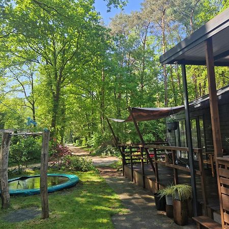 Heerlijk Huisje In Het Bos Op Chaletpark Kempenbos Diessen Exteriör bild