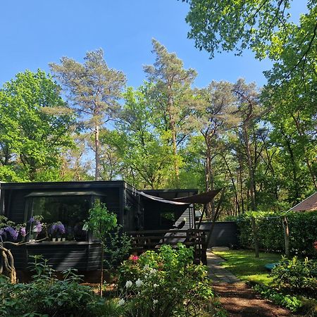 Heerlijk Huisje In Het Bos Op Chaletpark Kempenbos Diessen Exteriör bild