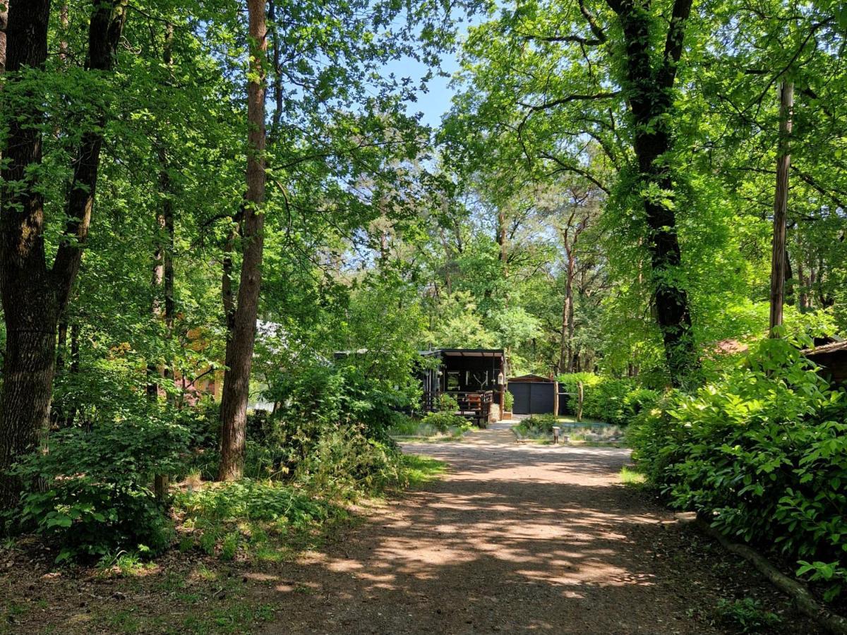 Heerlijk Huisje In Het Bos Op Chaletpark Kempenbos Diessen Exteriör bild