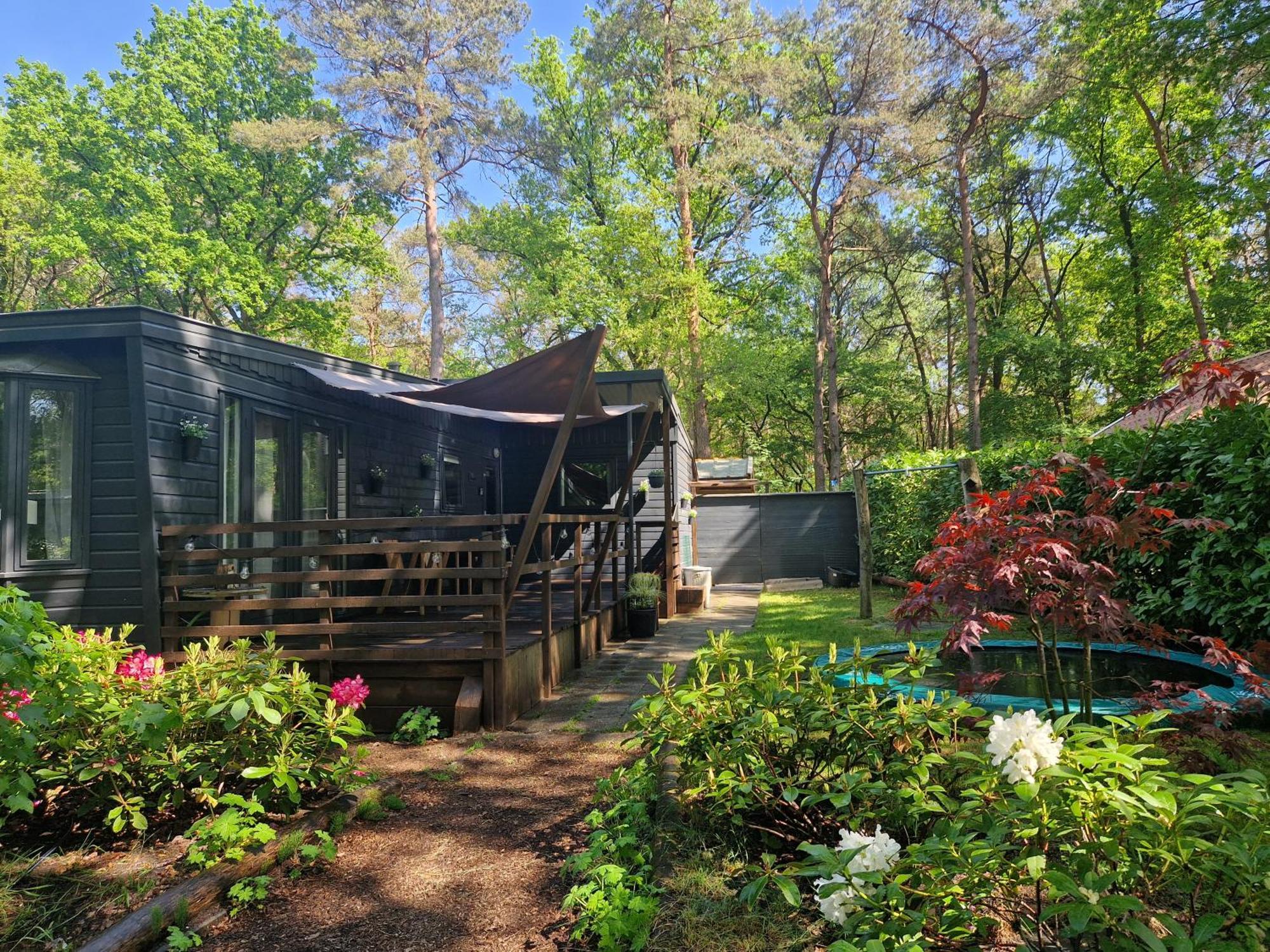 Heerlijk Huisje In Het Bos Op Chaletpark Kempenbos Diessen Exteriör bild