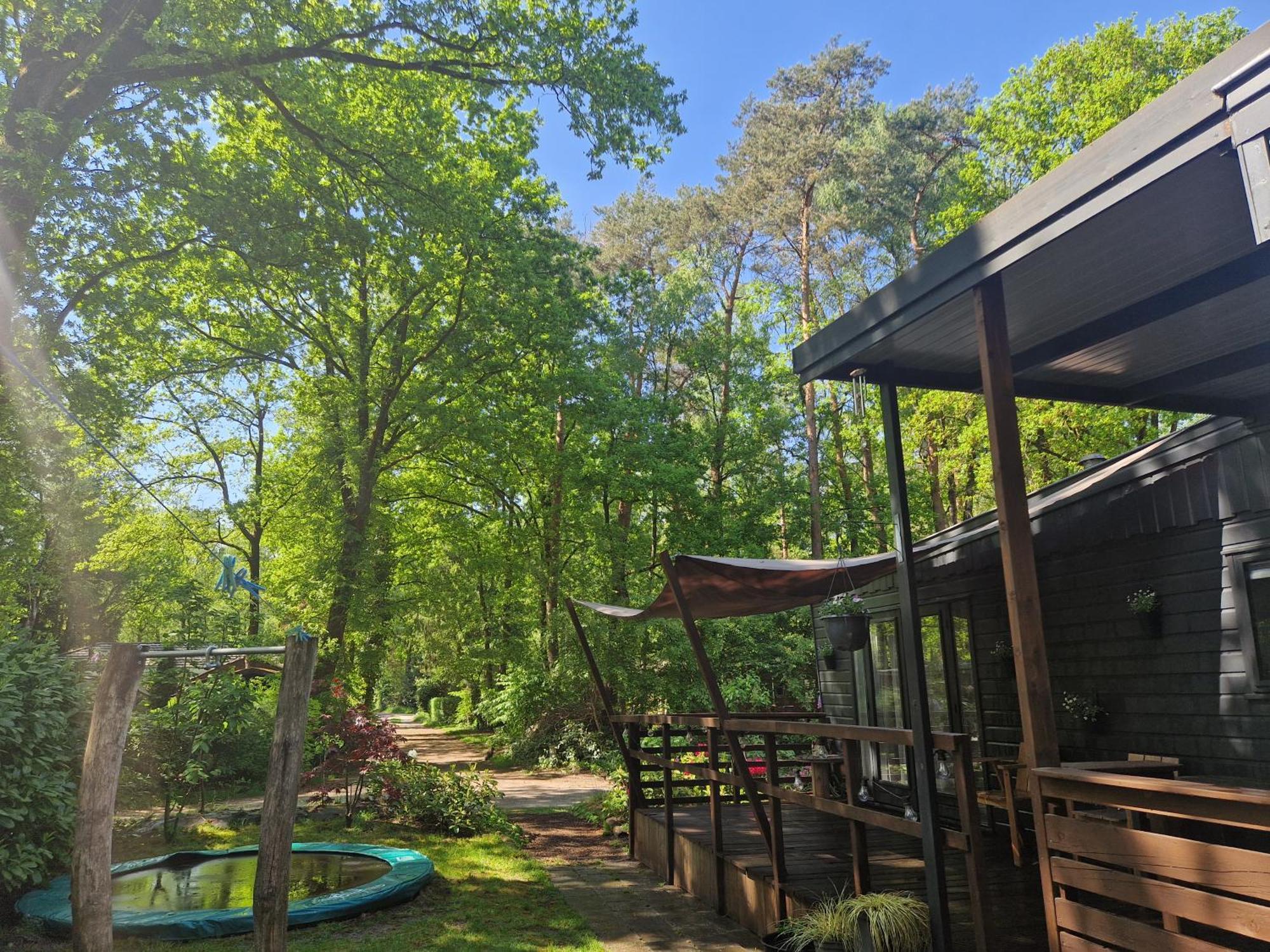 Heerlijk Huisje In Het Bos Op Chaletpark Kempenbos Diessen Exteriör bild